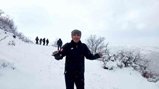 Dağda gezinti yaparken önlerine kurt çıktı: O anlar kamerada