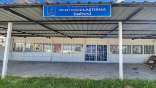 Davutlar Mahallesine kedi kısırlaştırma merkezi açılıyor