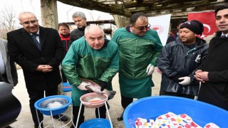 Denizlideki 101 tesiste 2 bin 200 ton alabalık üretiliyor