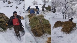 Derecikte çiftçilerin zorlu kış mesaisi: 3 bin rakımdan otları kızaklarla indirdiler