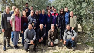 Didimde zeytin budama kursu kursiyerlerine uygulamalı eğitim