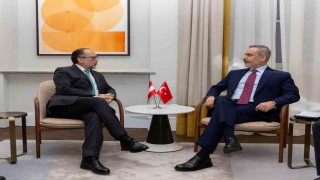 Dışişleri Bakanı Fidan, Avusturyanın geçici Başbakanı ve Dışişleri Bakanı Schallenberg ile görüştü