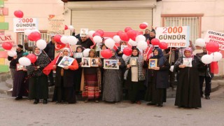 Diyarbakır anneleri 2 bin gündür evlatları için nöbette