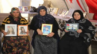 Diyarbakır annelerinden ‘terörsüz Türkiye çağrısı