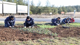 Diyarbakırda çiçeklendirme çalışmaları devam ediyor