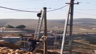 Diyarbakırda direkte mahsur kalan kedi merdiven yardımıyla kurtarıldı