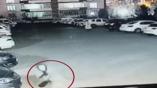 Diyarbakırda sokak köpeğinin saldırdığı 3 kişi yaralandı