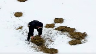 Doğuda yaban hayvanları için doğaya yem bırakıldı