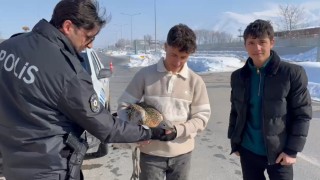 Duyarlı kardeşler yaralı toy kuşunu yetkililere teslim etti