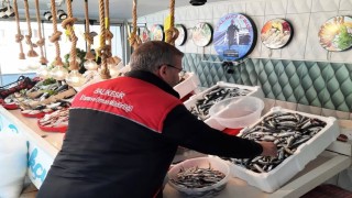 Edremitte balık denetimi