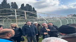 Edremitte zeytinde budama kursu kursiyerlerine teknik eğitim