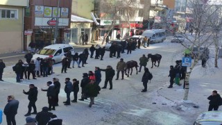 Eksi 24 derecede kurtuluş coşkusu