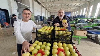Elma fiyatını maliyetler yükseltiyor