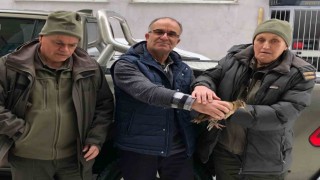 Emekli sağlıkçı karda aç kalan çulluğa sahip çıktı
