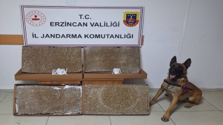 Erzincan Jandarma: 2025 Ocak’ta 127 Olay Aydınlatıldı