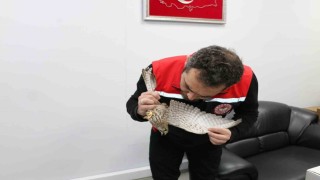Erzincanda ekipler, kerkenez için seferber oldu