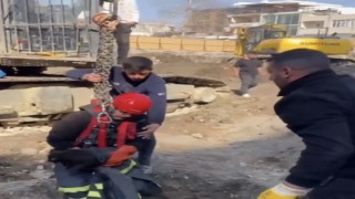 Fore kazık kuyusuna düşen kedi itfaiye ekipleri tarafından kurtarıldı