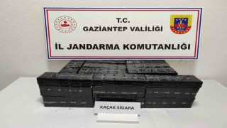 Gaziantepte jandarmadan şok huzur-güven uygulaması: 14 gözaltı