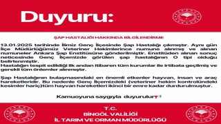 Genç ilçesinde şap karantinası