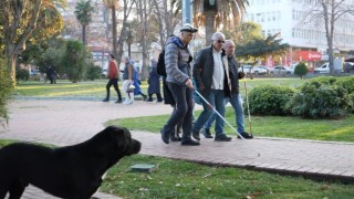 Görme engellilerin kabusu: Scooterlar, sokak köpekleri, kaldırım işgalleri