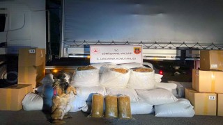 Gümüşhanede Jandarma ekipleri 644 kilogram kaçak tütün ele geçirdi