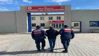 Hapis cezası ile aranan şahsı jandarma yakaladı