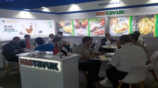 HasTavuk bir kez daha dünya arenasında