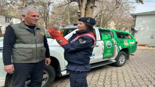 HAYDİ ekibi tarafından bulunan yaralı atmaca DKMPye teslim edildi