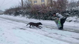 HAYDİ ekibinden sokak hayvanlarına mama desteği