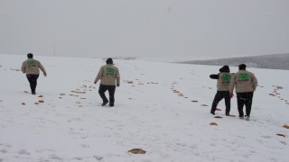 Hayvanların doğada aç kalmaması için çalışma yaptılar