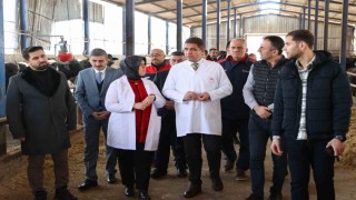 Hedef hayvan varlığını arttırmak