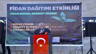 Honaz Belediyesinden üreticiye 15 bin fidan desteği