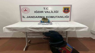 Iğdırda 1 kilogram kubar esrar ele geçirildi