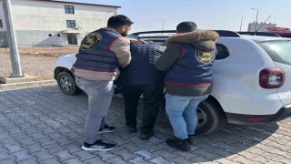 Iğdırda 10 yıl kesinleşmiş hapis cezası bulunan şahıs yakalandı