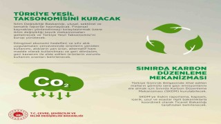İklim Değişikliği Başkanı Hasar: Dünyamız iklim kriziyle savaşan bir yer oldu