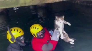 İskele altında mahsur kaldı, ekipler seferber oldu