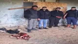 İzmirde at eti keserken suçüstü yakalandılar