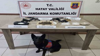 Jandarma ekipleri Şubat ayında 61 şahıs hakkında yasal işlem yaptı