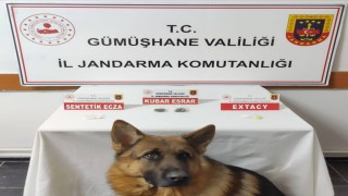 Jandarma, Rizeden Gümüşhaneye uyuşturucu getirenleri yakaladı