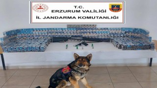 Jandarmadan kaçak sigara operasyonu