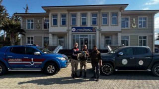Jandarmadan yaralı tilkiye şefkat eli