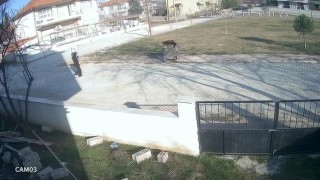 Kadının iple ayaklarını bağladığı köpeği çöpe attığı anlar güvenlik kamerasına yansıdı
