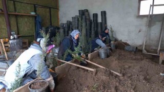Karacabey Belediyesinden doğaya saygılı estetik çalışmalar