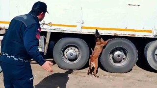 Kargo aracında 1 tonun üzerinde kaçak tütün ve yüzlerce paket sigara ele geçirildi