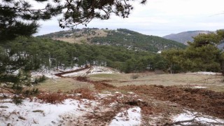 Karlı hava, buzla kaplanmış arazi MASKİye engel değil