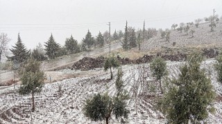 Kiliste kar sevinci