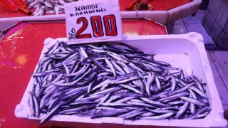 Kilosu 100 liradan satılan istavrit, hamsiyi geride bıraktı
