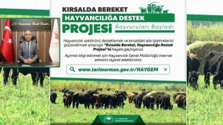 ‘Kırsalda Bereket, Hayvancılığa Destek Proje başvuruları başladı