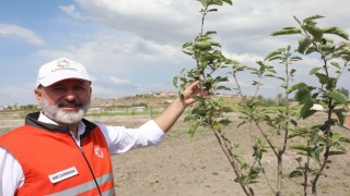 Kocasinanda yeni kadın girişimci kooperatifi kuruldu