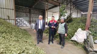 Kolabaş, Kadirli’de Defne Kurutma Tesisini Ziyaret Etti